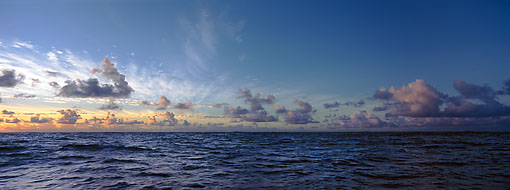 Michael Berman Photography